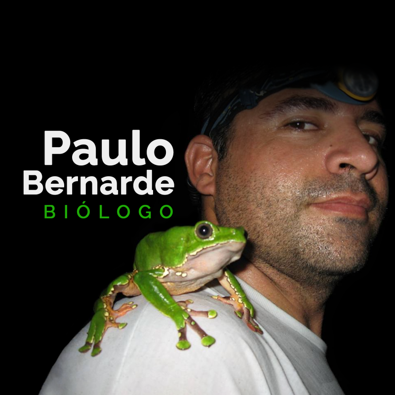 PAULO SERGIO BERNARDE